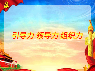 新時(shí)代黨的組織體系建設(shè)與黨的領(lǐng)導(dǎo)力提升