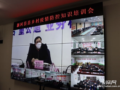 防控疫情新河縣智慧黨建平臺立下奇功