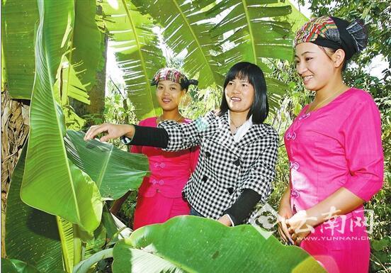 云南全力推進(jìn)邊疆黨建長(zhǎng)廊建設(shè)紀(jì)實(shí)：筑牢固邊興邊的紅色長(zhǎng)廊