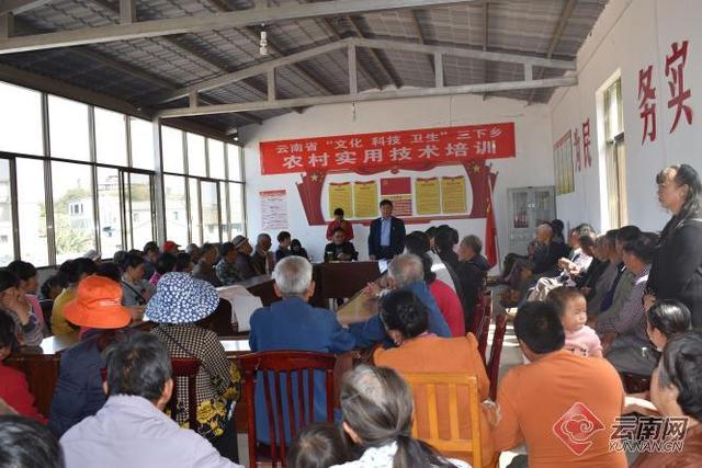 龍港：黨建引領聚民心 支部發力興鄉村