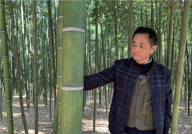 育文化聚人才，高淳以黨建引領鄉村全面振興