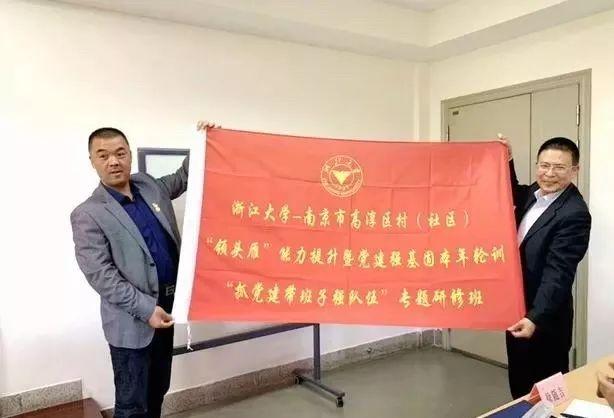 育文化聚人才，高淳以黨建引領鄉村全面振興