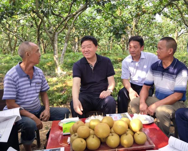 企業(yè)先鋒|農(nóng)發(fā)行:“智慧黨建”推動黨建工作走深走實