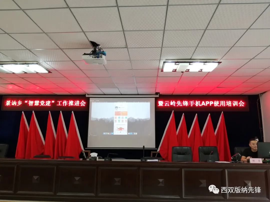 景洪市：聚“力”推進“智慧黨建”