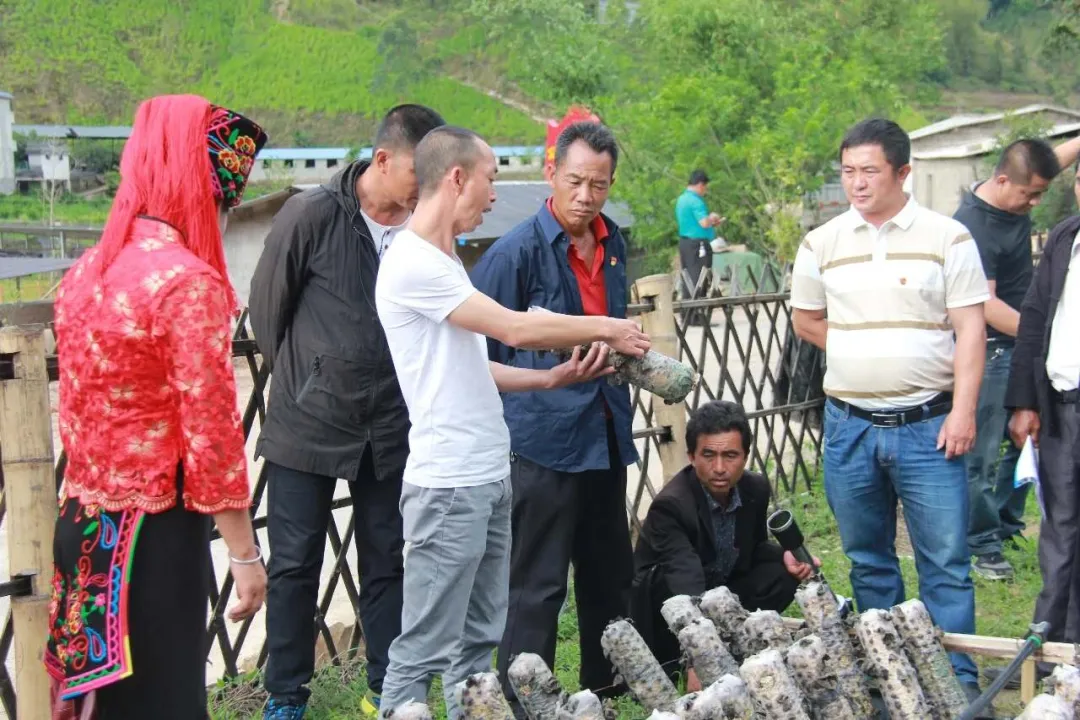 綠春縣：三個突出，實現“智慧黨建”真智慧