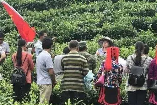綠春縣：三個突出，實現“智慧黨建”真智慧