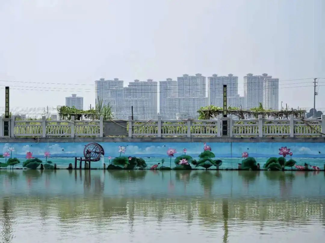 小區議事協商難？禪城“智慧黨建”破解困局 | 堤田涌整治，靚了河道甜了人心