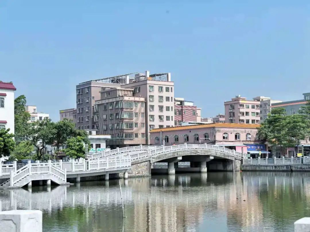 小區議事協商難？禪城“智慧黨建”破解困局 | 堤田涌整治，靚了河道甜了人心